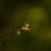 Iso 200 Mehrfeld 057 (2)