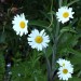 Iso 3200 Mittenbetont 095
