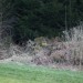 Spot bei Daemmerung verkl. 