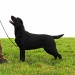 Standbilder Rina, Cira unscharf markiert, .mitKomponente zerlegt0000018