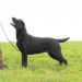 Standbilder Rina, vor bearbeitung0000018