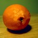 orange Gimp