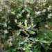 GW10_02b_1101