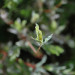 GW10_02c_1104