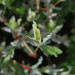 GW10_02d_1105