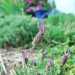 GW10_03a_1051