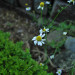 GW10_06_1054