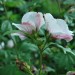 GW12_02b_2598