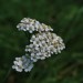 GW12_02c_2538