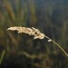 GW12_02d_2574