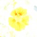 GW12_04a_2255