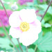 GW9_H2_04_0417
