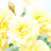 GW9_H2_05a_0400