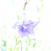 GW9_H3_02_0596