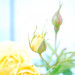 GW9_H_04a_0327