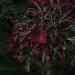 GW9_L1_07_0687