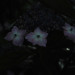 GW9_L2_03_0847