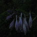 GW9_L2_04a_0834