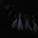 GW9_L2_04b_0881