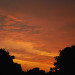 GW_08_Hi16_0063