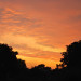 GW_08_Hi8a_0062
