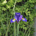 TagSpot_02_9635