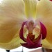 DSC00007