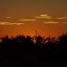 DSC00821