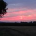 DSC00882