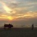 DSC04166v2