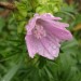 DSC01003