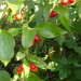 DSC01059