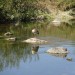 DSC01107