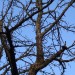 DSC01177