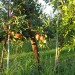 DSC01198