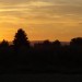 DSC01229