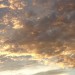 DSC01428