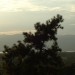 DSC01769