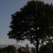 DSC02074