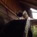 DSC02150
