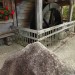 DSC02177
