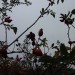 DSC02200