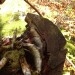 drittel066