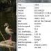 ente5,9