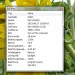 sonnenblume2