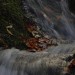wasserfall024