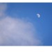 mond