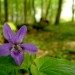 DSC00026