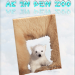 Ab in den Zoo