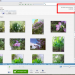ScreenPicasa